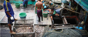 New publication | Modern slavery and the race to fish 