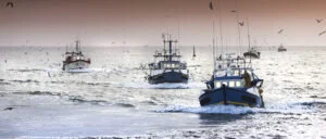 New&nbsp;publication Far from home: Distance patterns of global fishing fleets David Tickler, Jessica Meeuwig&nbsp;| Aug 01, 2018