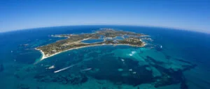 Models of marine fish biodiversity: Assessing predictors from three habitat classification schemes