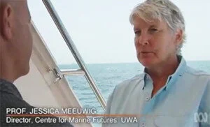Prof. Jessica Meeuwig speaks on ABC Four Corners’ “Shark alarm”