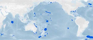 Sampling mobile oceanic fishes and sharks: Implications for fisheries and conservation planning