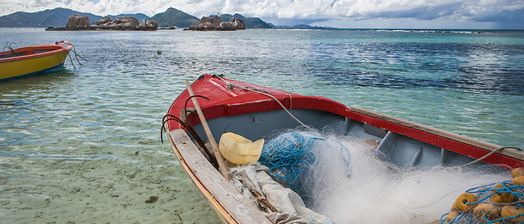 A Baseline for the Blue Economy: Catch and Effort History in the Republic of Seychelles’ Domestic Fisheries