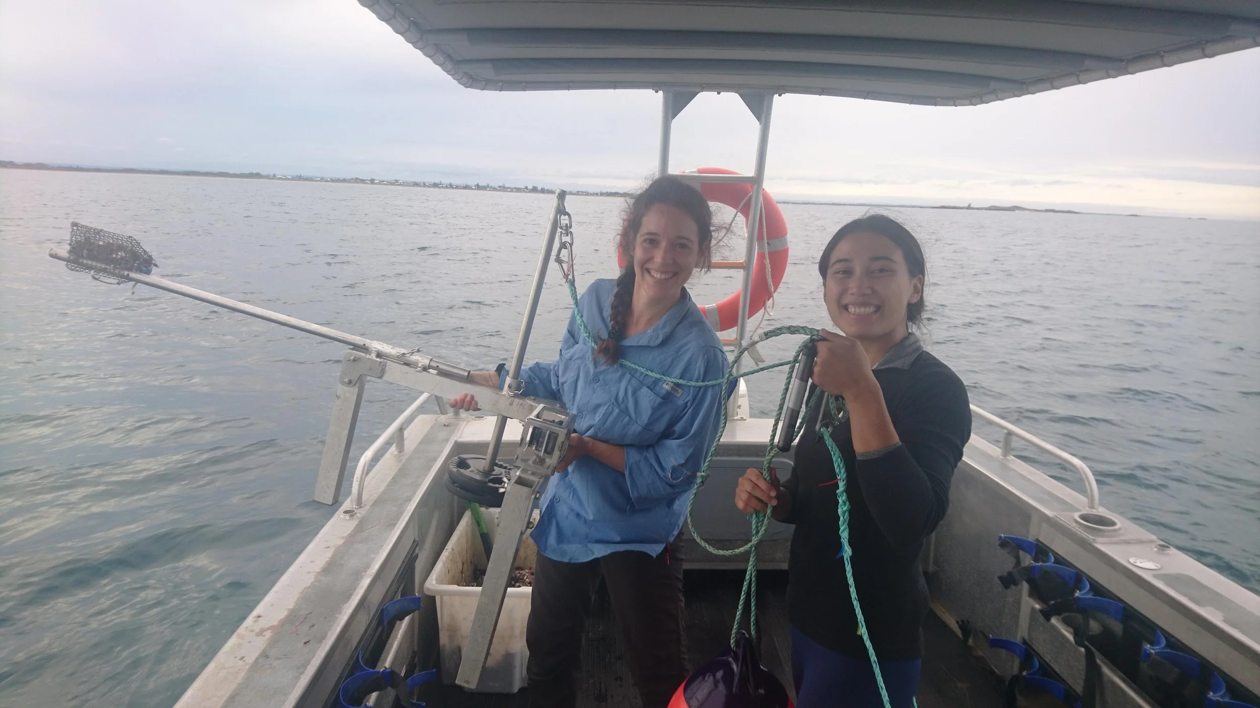 Shark aggregations underpin conservation but where are they and when do they occur?