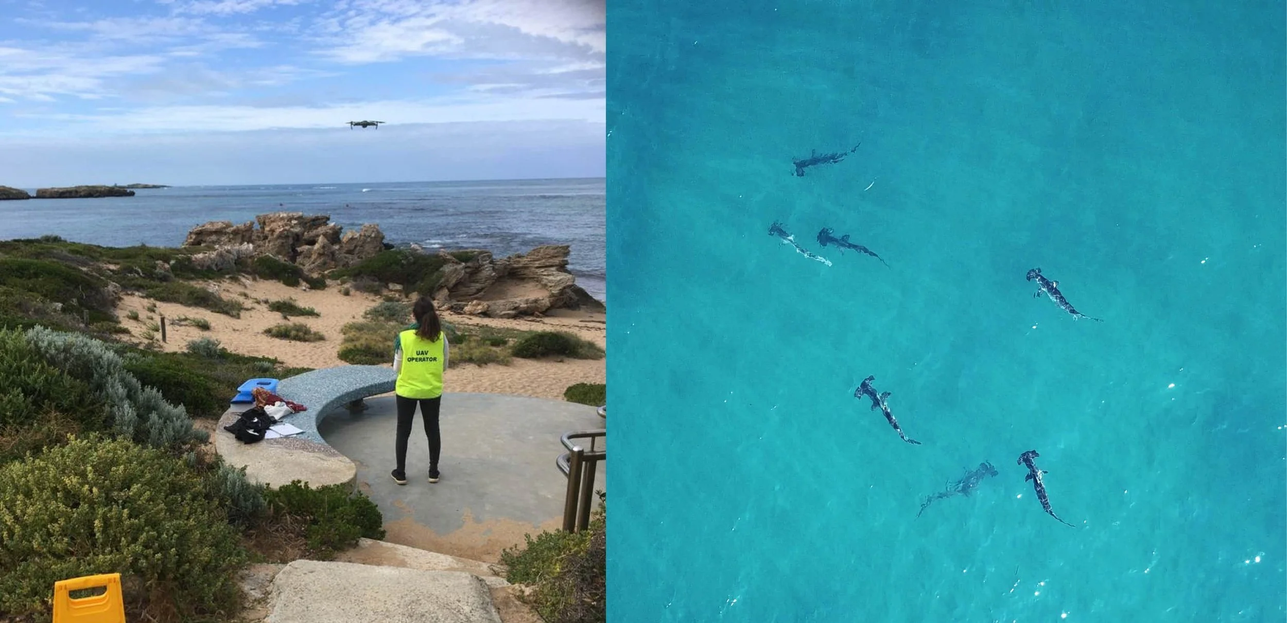 UWA 3Rs Animal Ethics Award 2021 to Naima Andrea López