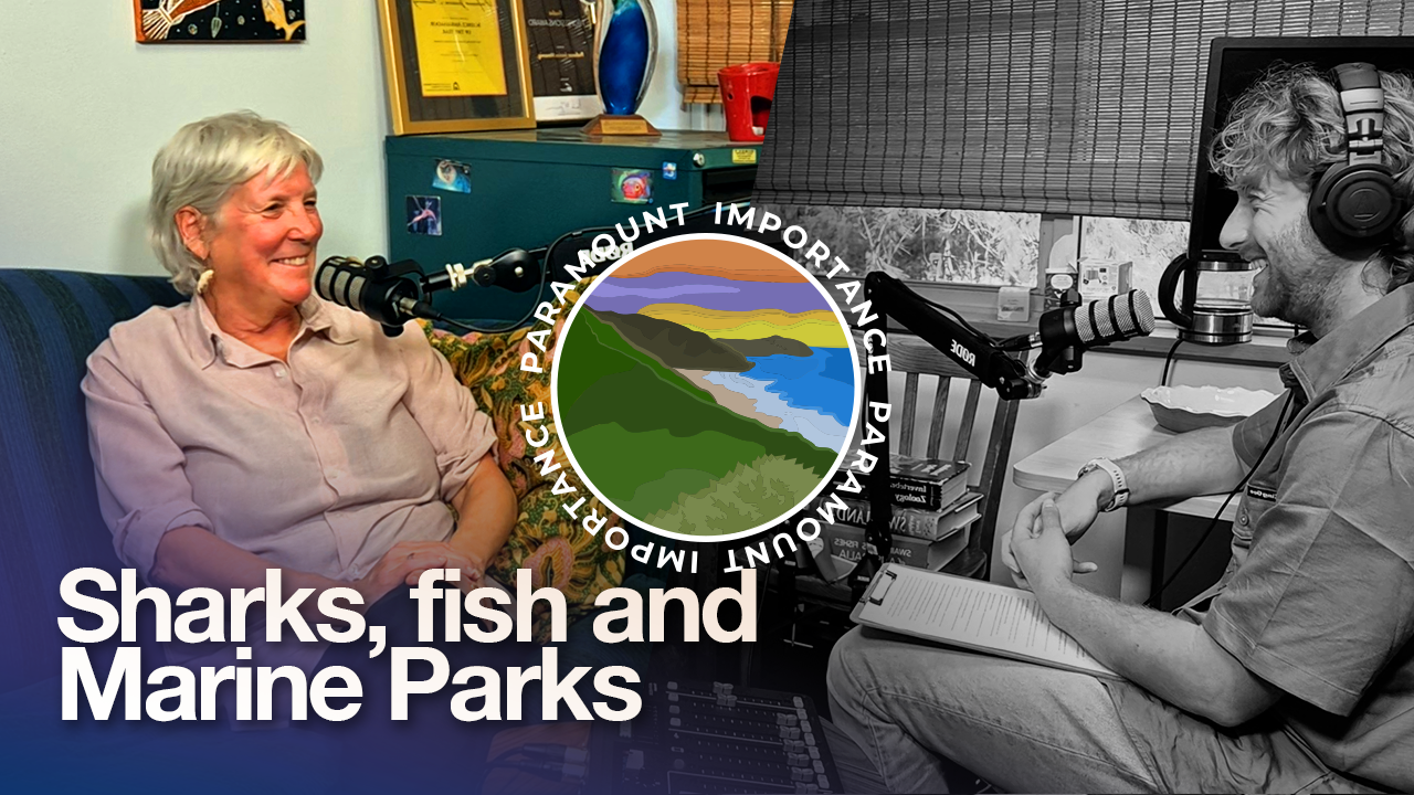 A deep dive into ocean conservation with our director Professor Jessica Meeuwig AM