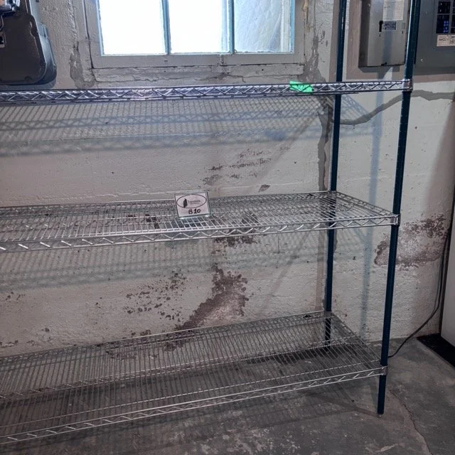 IMG_8616 Medium.jpeg