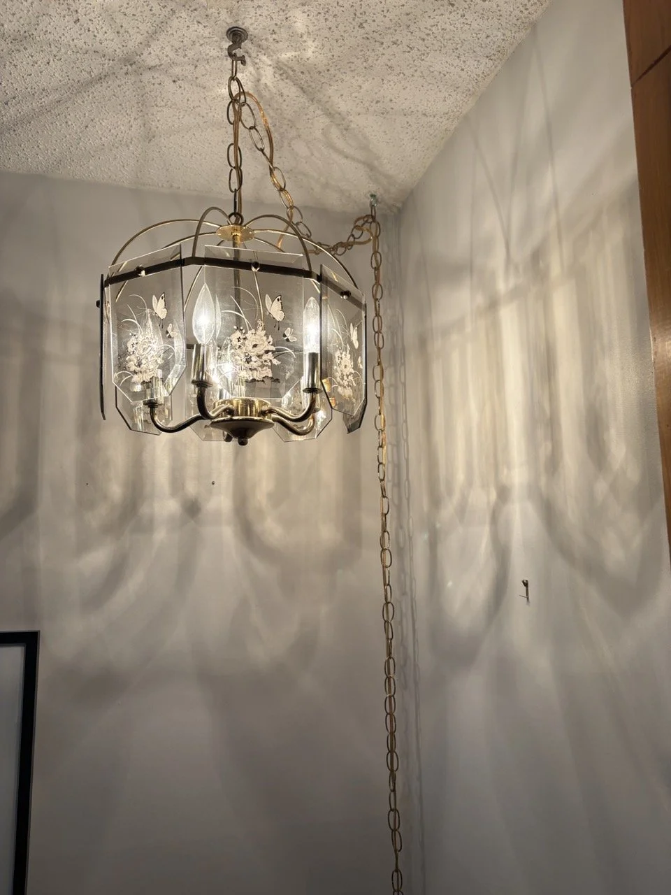 IMG_0266 Large.jpeg
