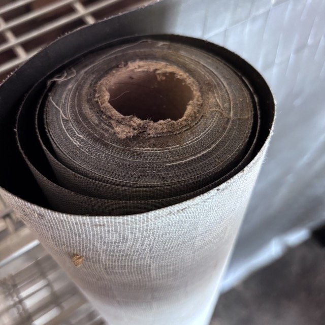 IMG_8667 Medium.jpeg