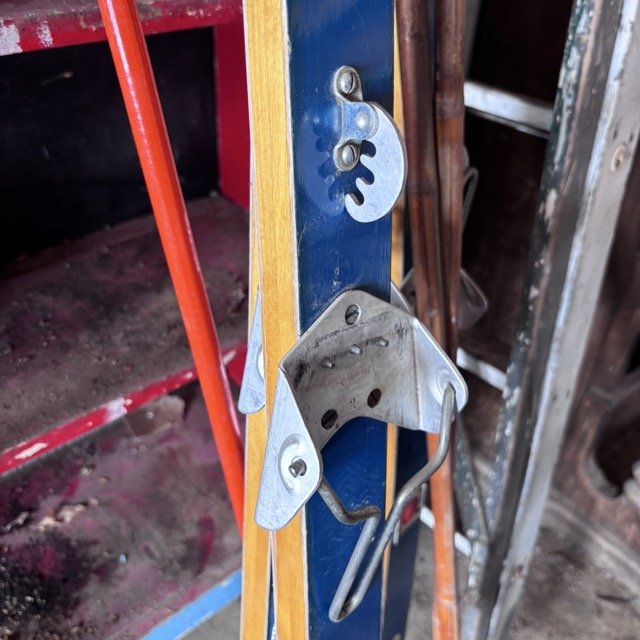 IMG_8642 Medium.jpeg