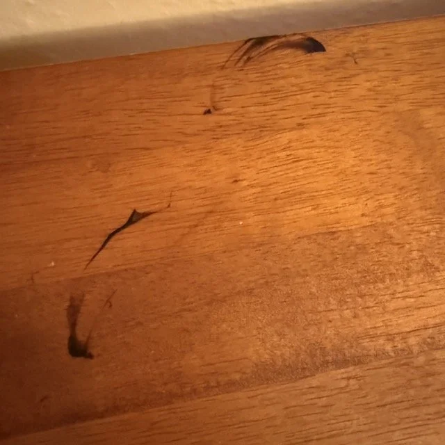 IMG_3237 Medium.jpeg