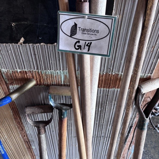 IMG_8679 Medium.jpeg