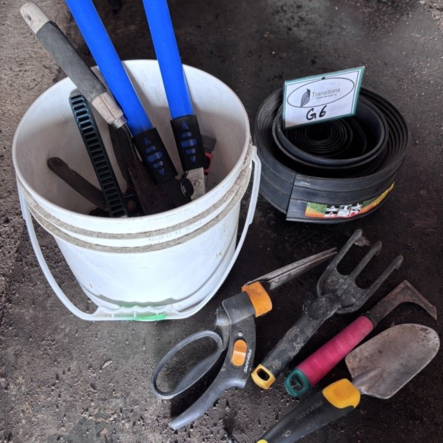 IMG_8651 Medium.jpeg