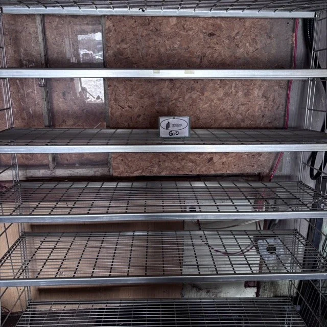 IMG_8661 Medium.jpeg