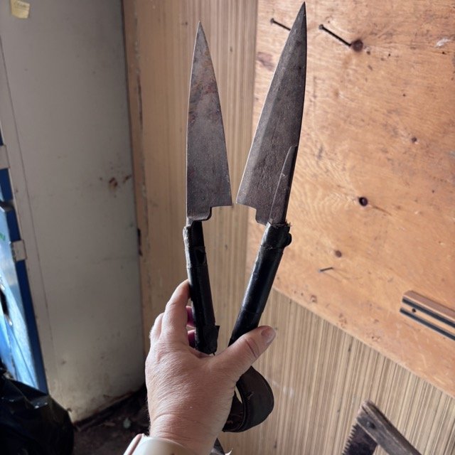 IMG_8629 Medium.jpeg