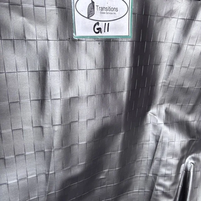 IMG_8666 Medium.jpeg