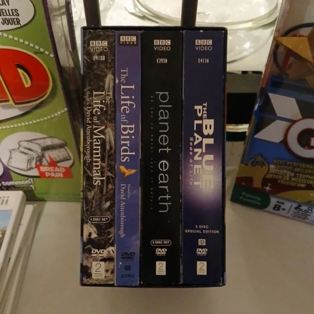 IMG_189 Medium.jpeg