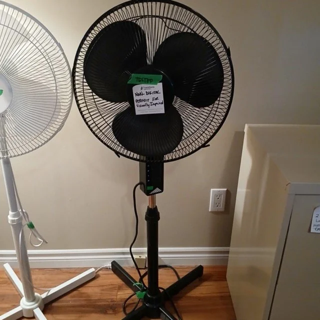 IMG_249 Medium.jpeg