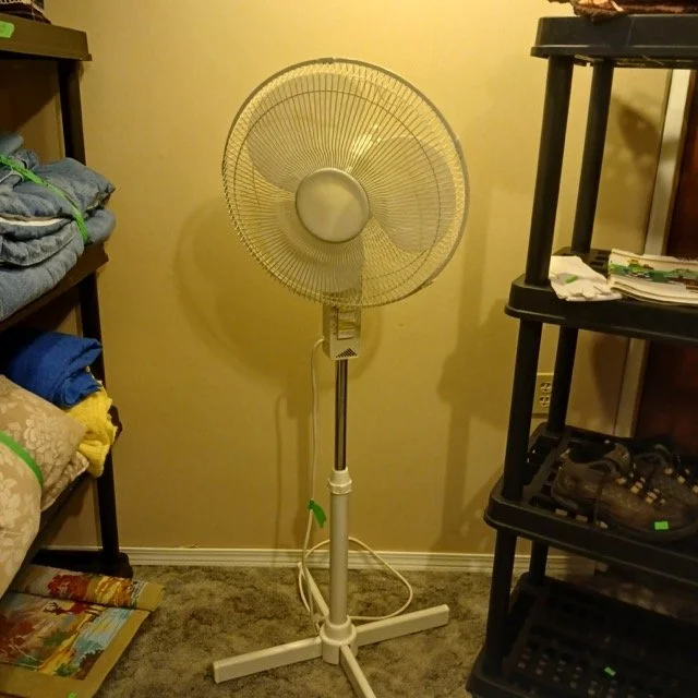 IMG_323 Medium.jpeg