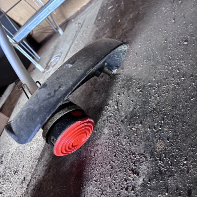 IMG_8672 Medium.jpeg