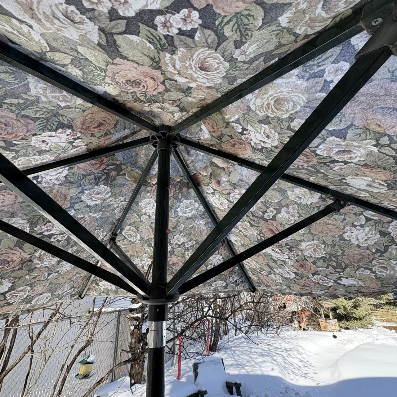 FullSizeRender 9 Large.jpeg