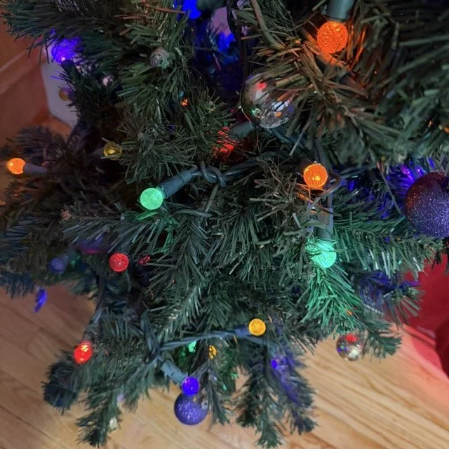 IMG_187 Medium.jpeg