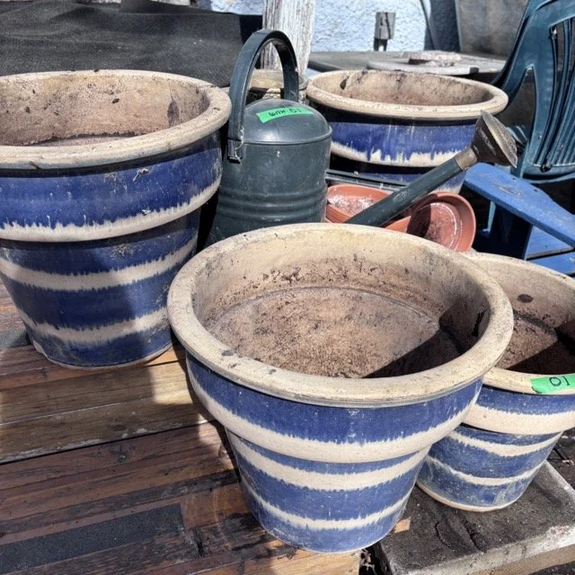 IMG_8706 Medium.jpeg