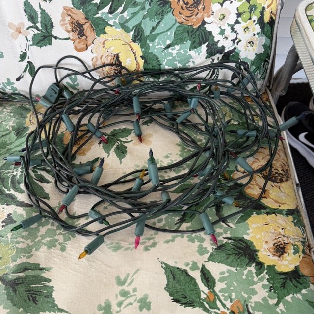 IMG_3117 Medium.jpeg