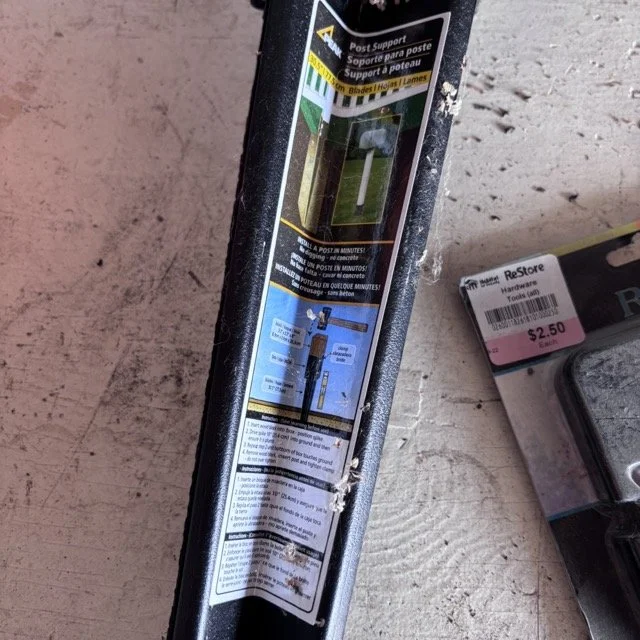 IMG_8692 Medium.jpeg