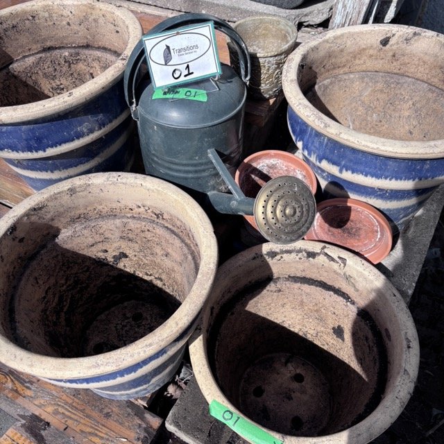 IMG_8705 Medium.jpeg