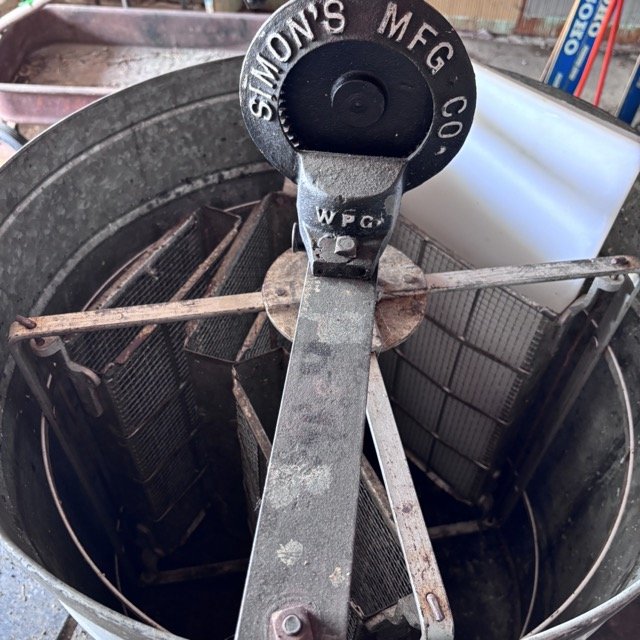 IMG_8645 Medium.jpeg