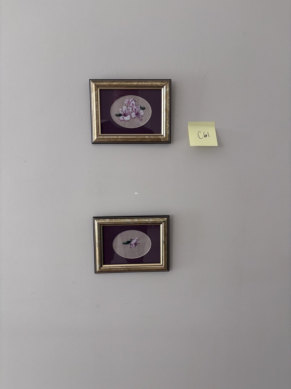 IMG_6936 Large.jpeg
