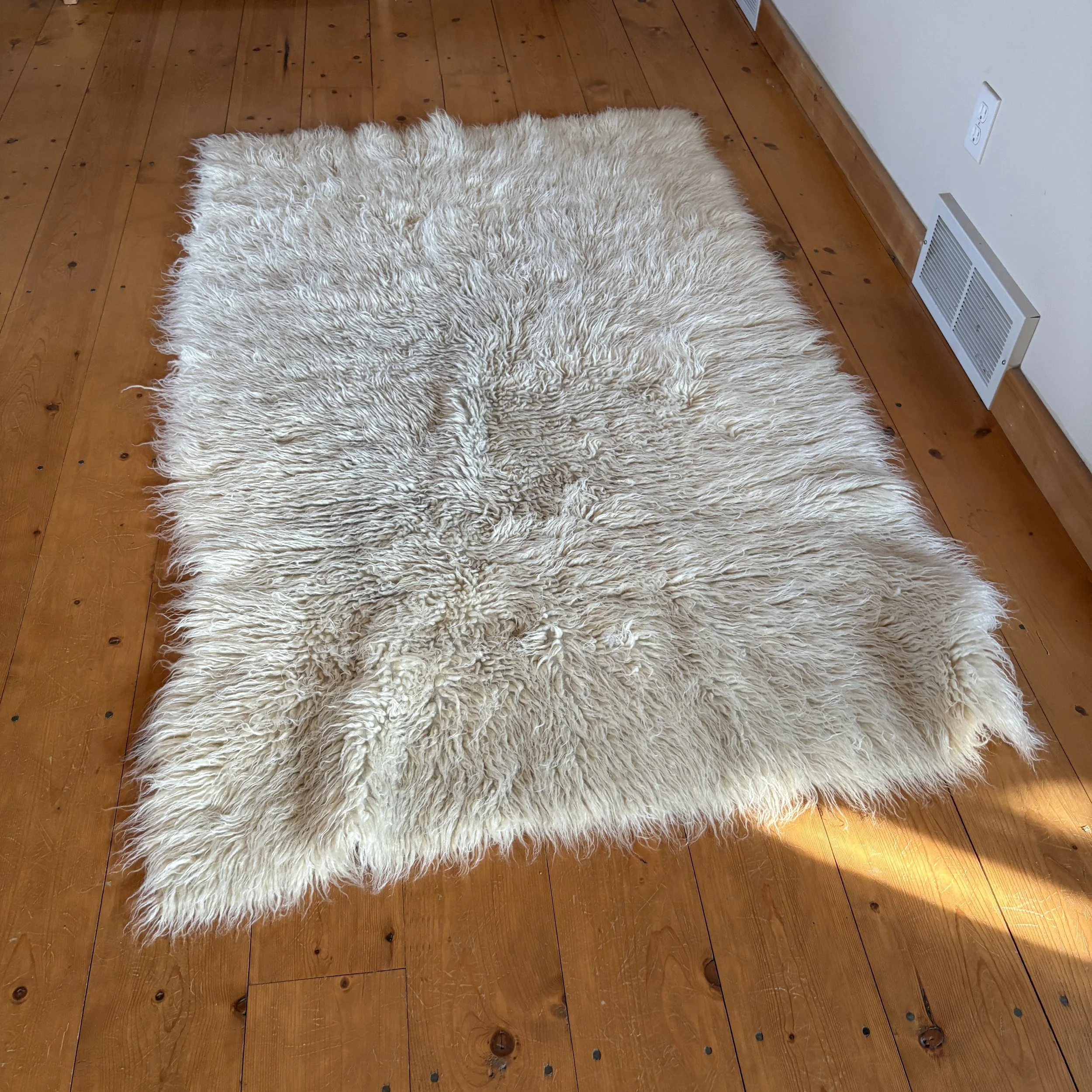 Wool Rug 4' x 6'
