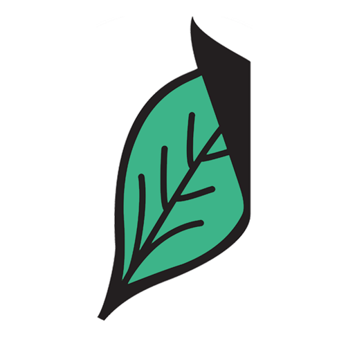 Transitions Logo Mint Leaf NOV 21 2024.png