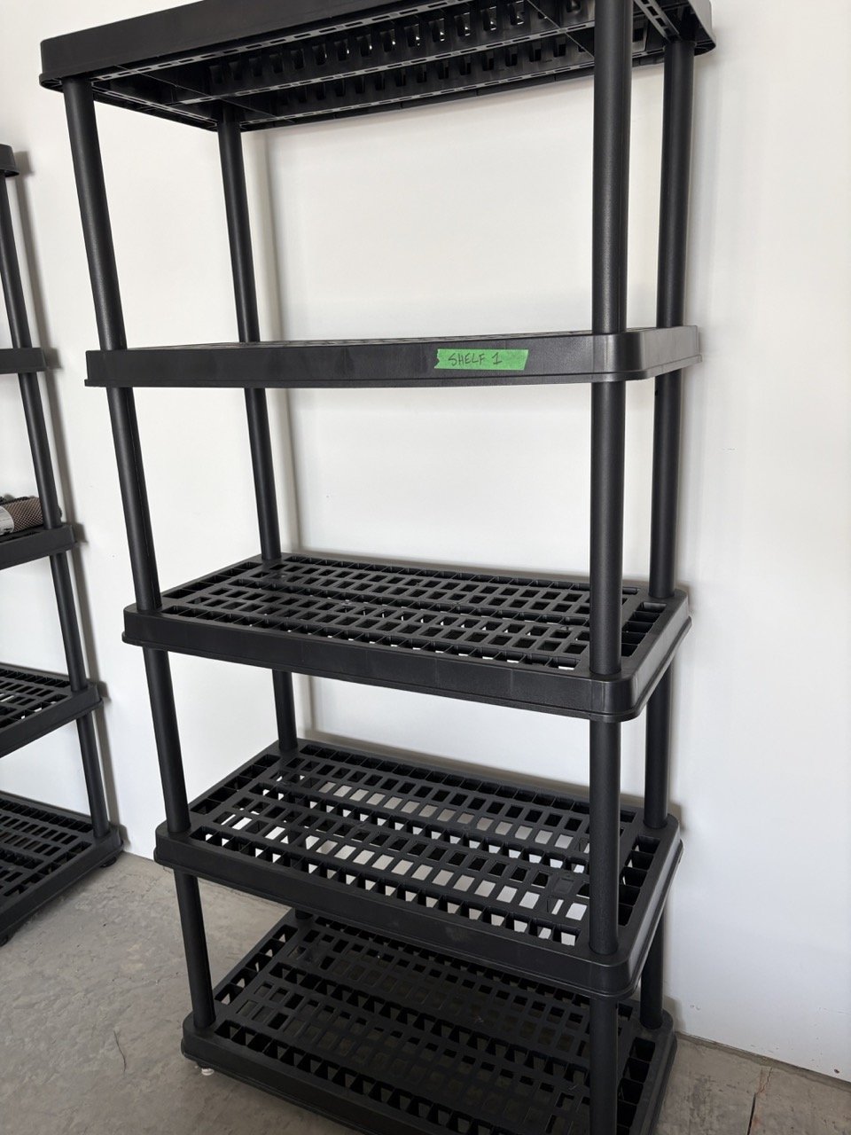 IMG_9523 Large.jpeg
