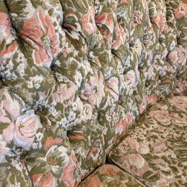 IMG_3211 Medium.jpeg