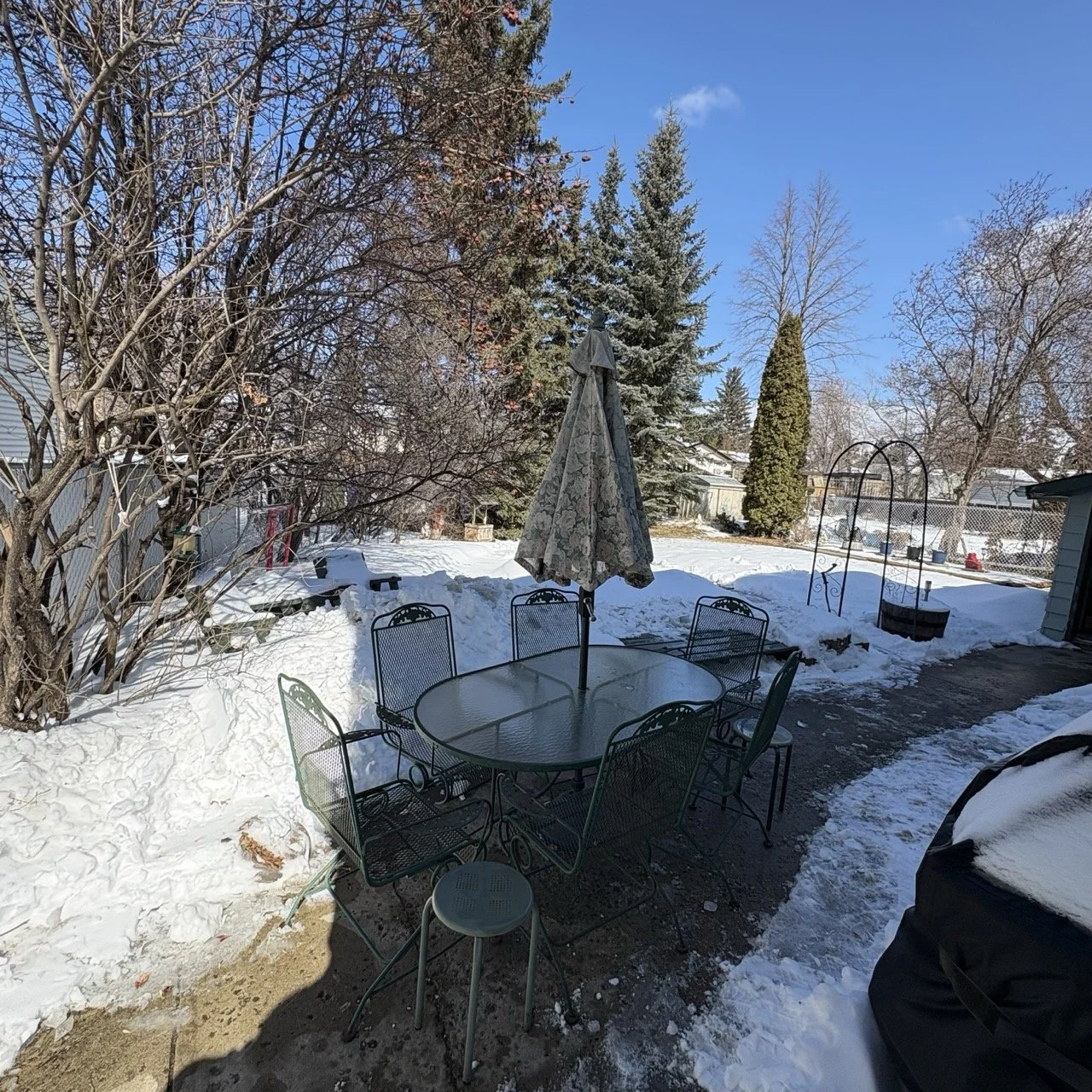 FullSizeRender 8 Large.jpeg