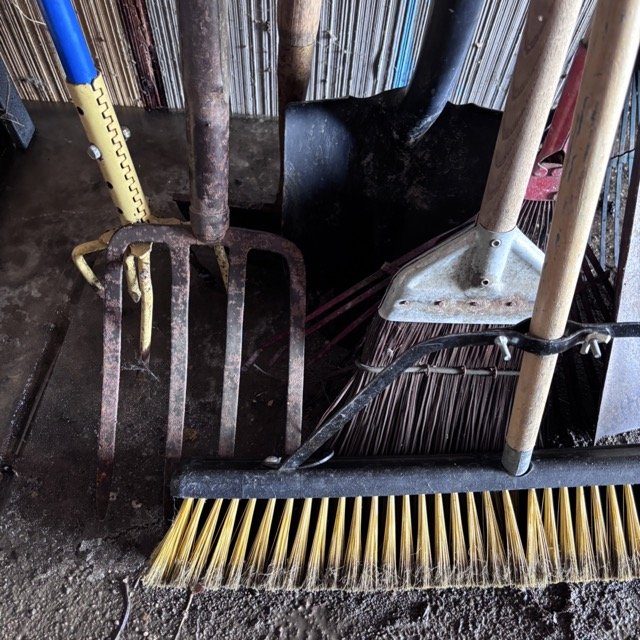 IMG_8680 Medium.jpeg