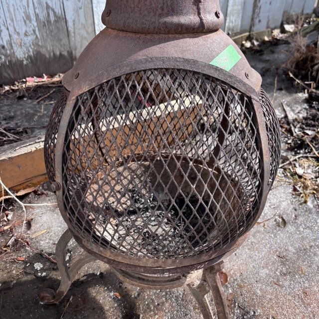 IMG_8719 Medium.jpeg