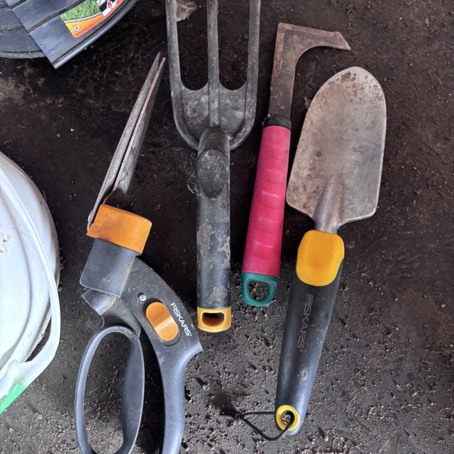 IMG_8652 Medium.jpeg