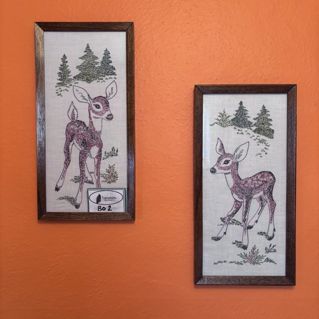 IMG_8556 Medium.jpeg