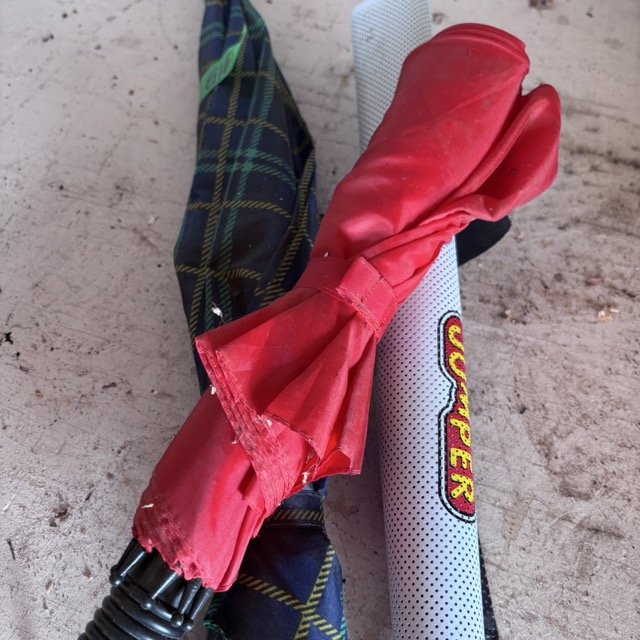 IMG_8690 Medium.jpeg