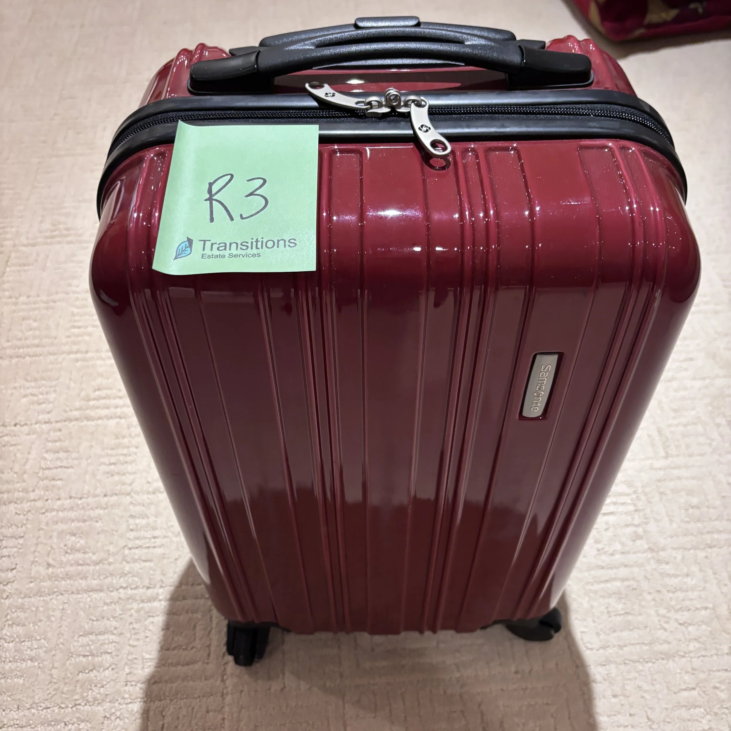 Samsonite Red Travel Bag
