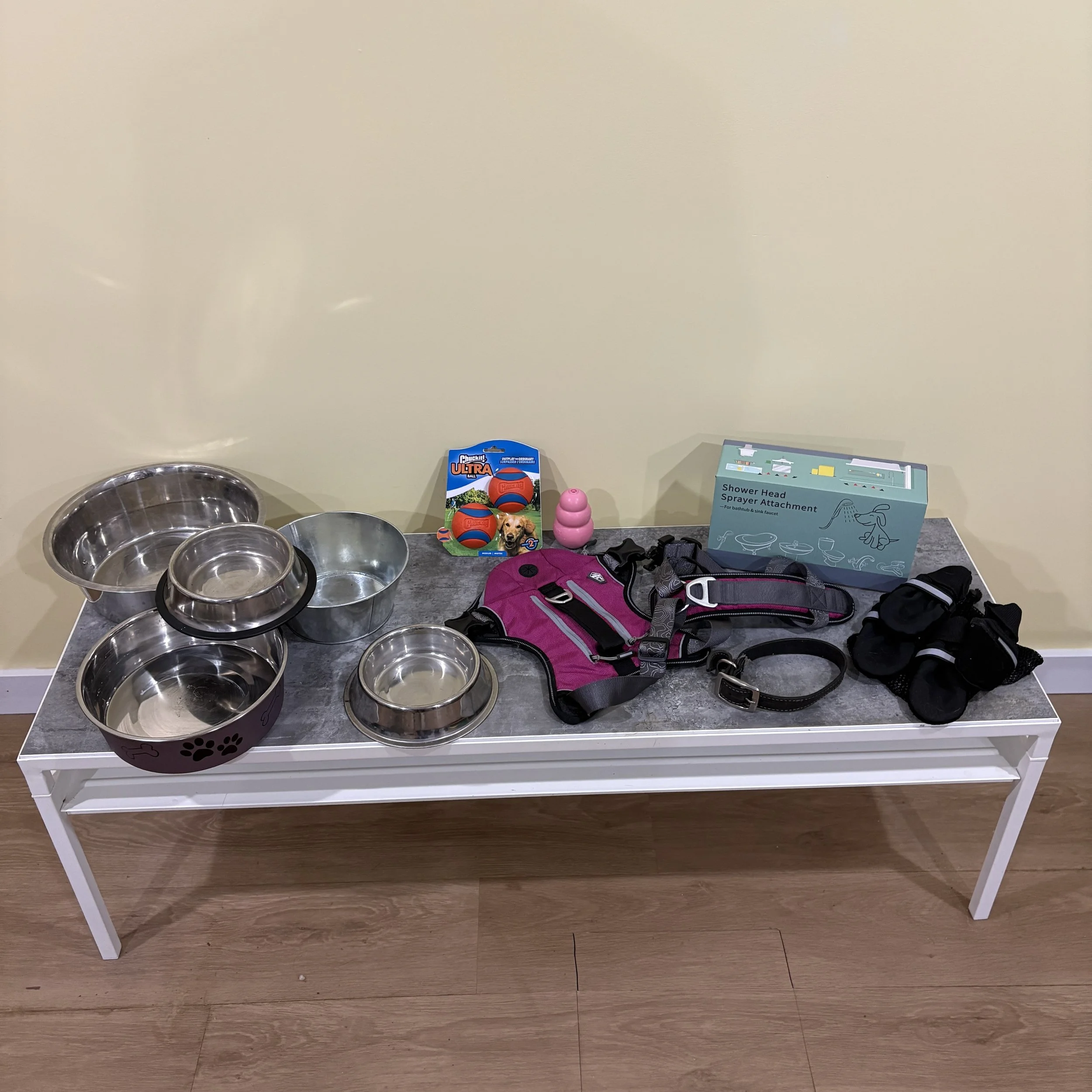 Dog Essentials