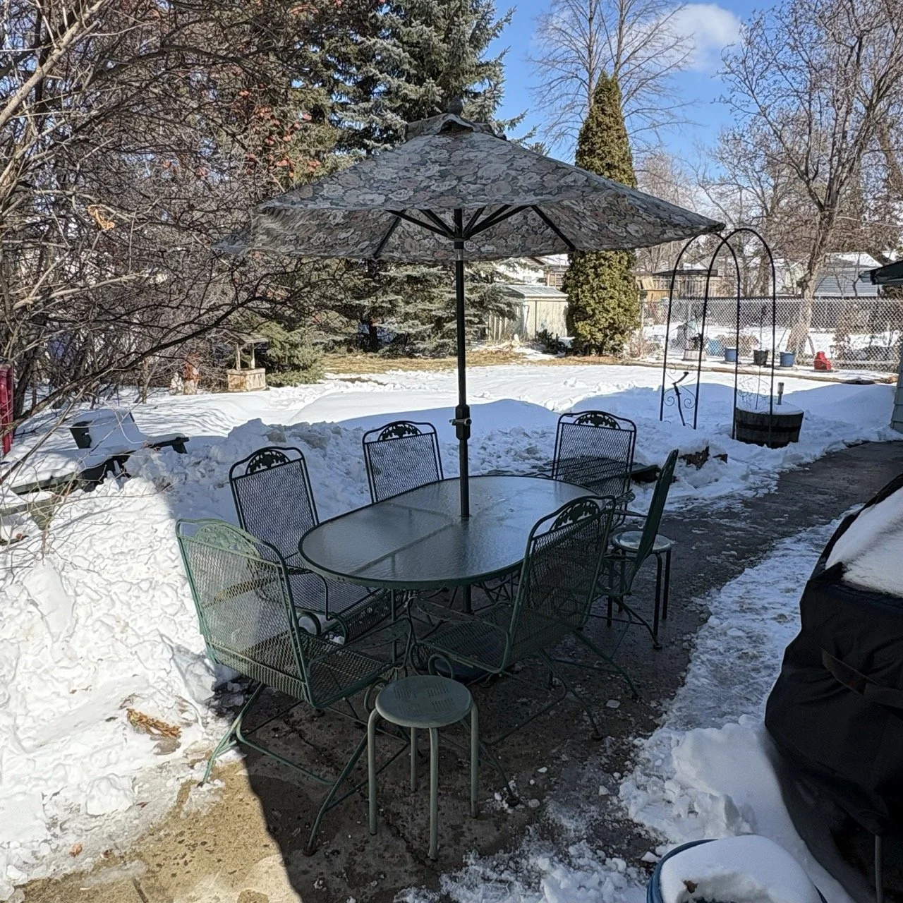 FullSizeRender 10 Large.jpeg