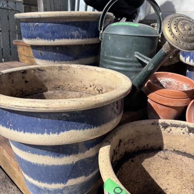 IMG_8708 Medium.jpeg