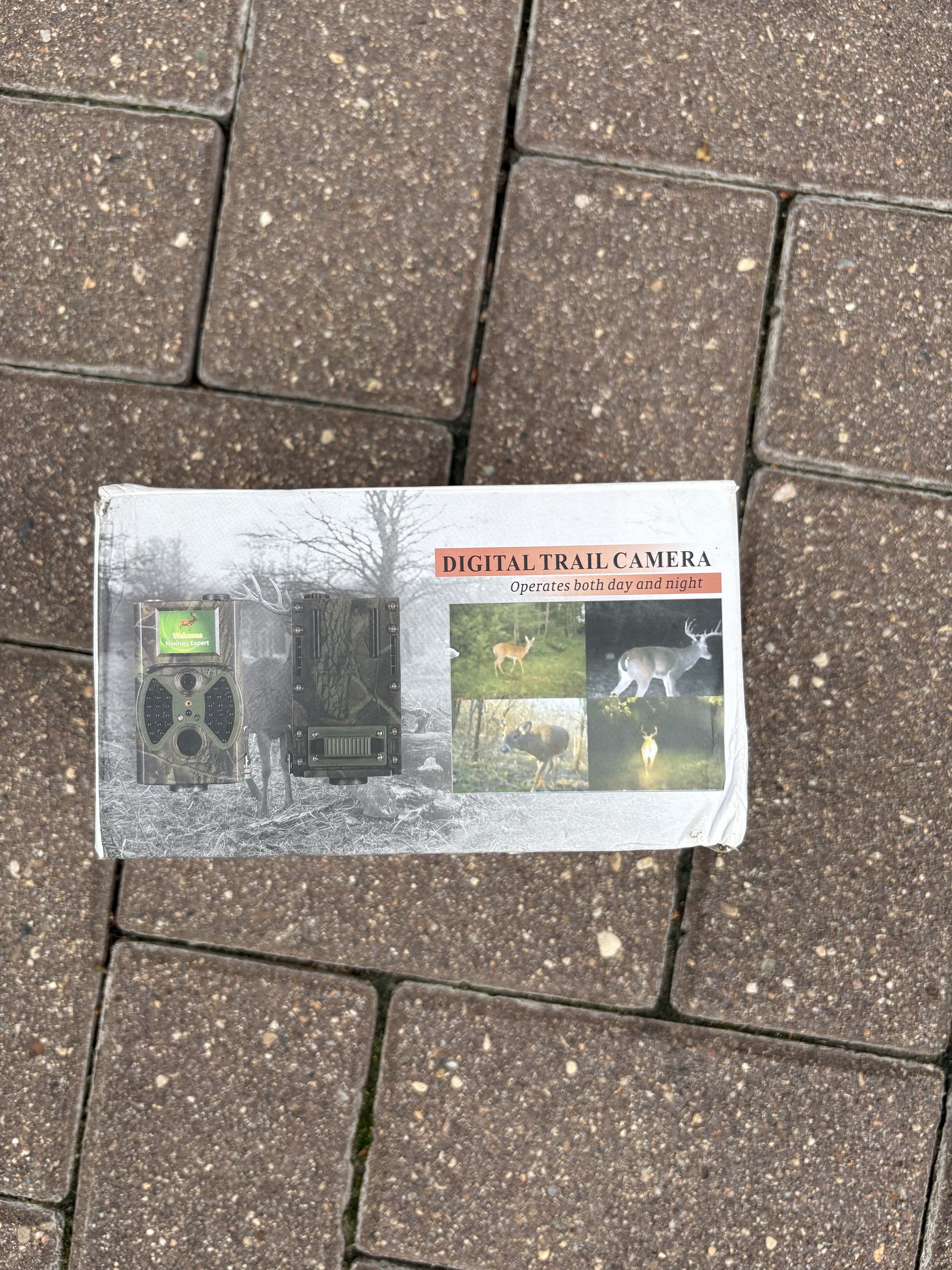 IMG_6027.jpeg