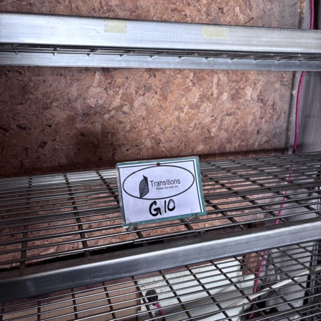 IMG_8662 Medium.jpeg