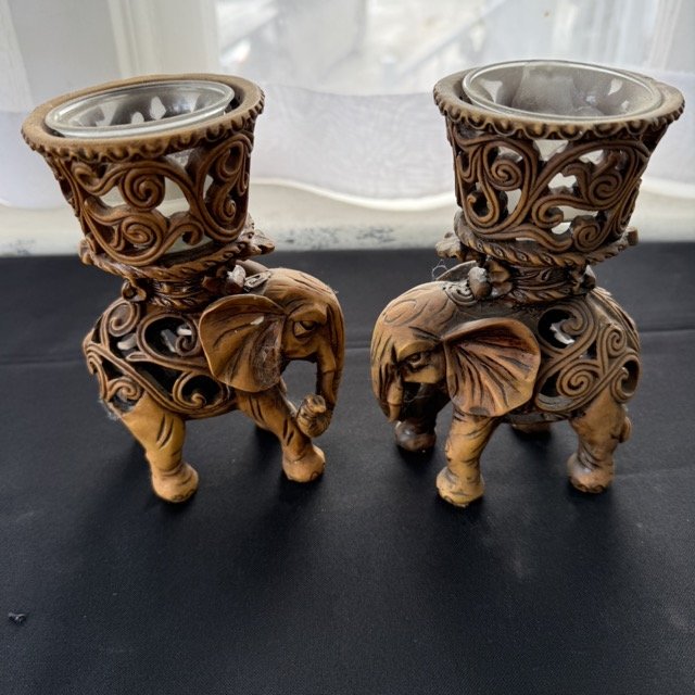 IMG_3192 Medium.jpeg