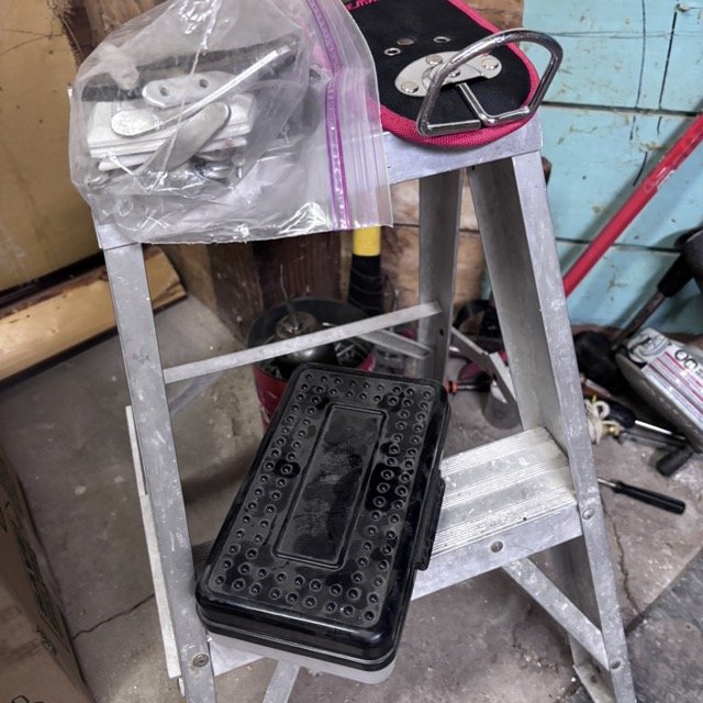 IMG_8582 Medium.jpeg