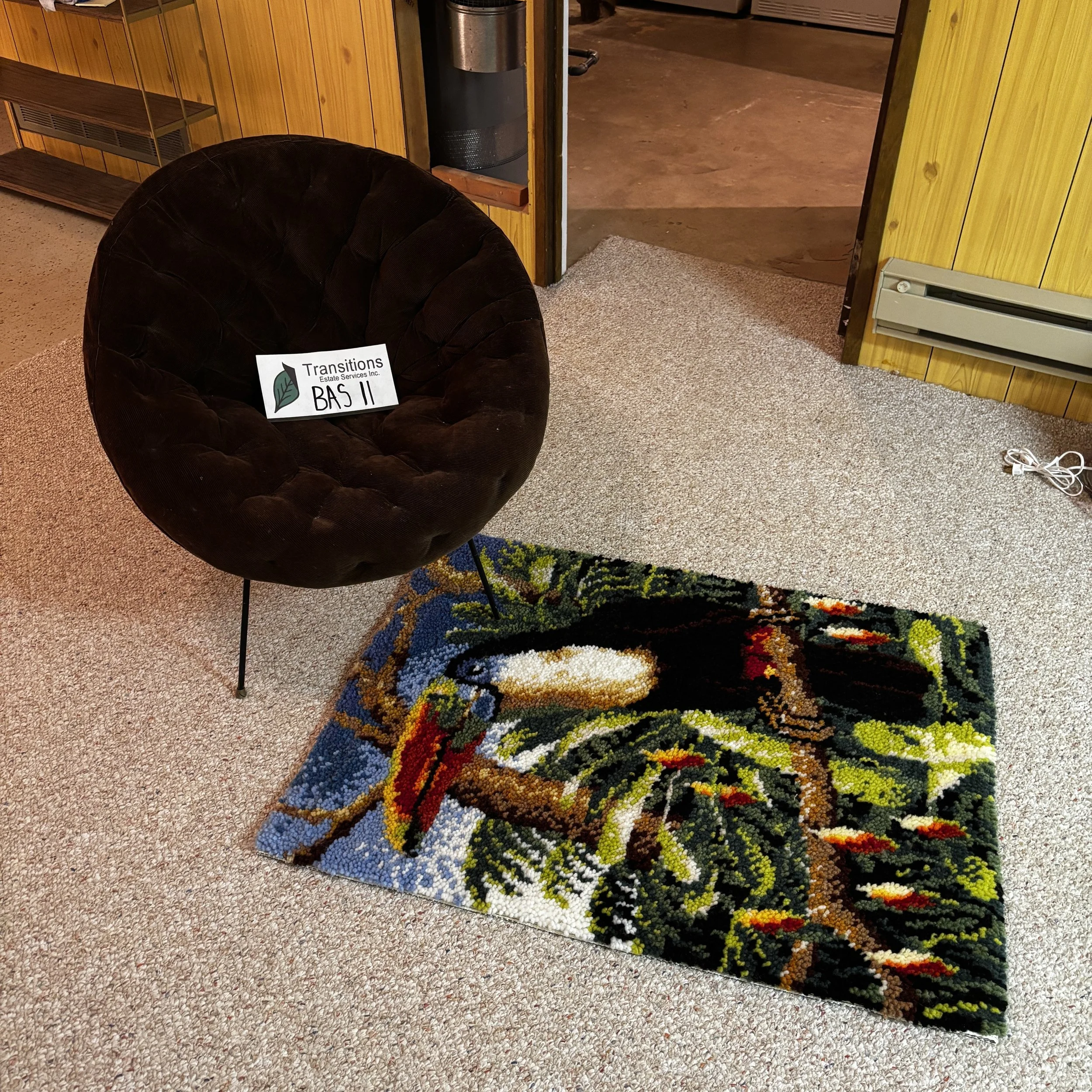 MCM Wicker Hoop Chair and Parrot Shag Rug